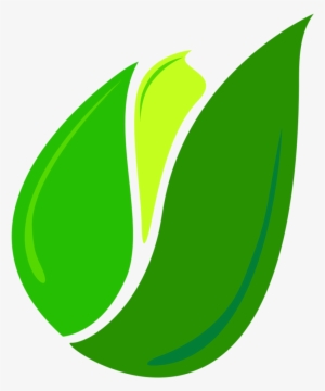 Single Green Leaf Png #4224090 Single Green Leaf Png #4224090