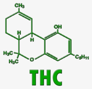 Thc Vs Thujone Molecule #4224091