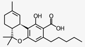 Tetrahydrocannabinolic Acid #4224106