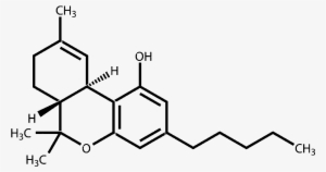 Tetrahydrocannol Thc Chemical Formula Products - Molecule For Thc #4224631