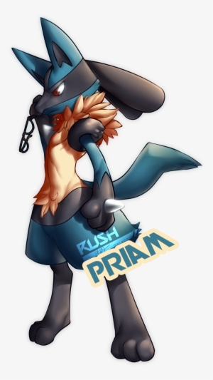 Lucario Pokemon Commission - Riolu #4224849