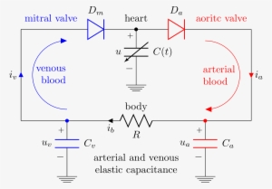 "electrical Analog Of The Heart And Circulatory System" - Heart #4225228
