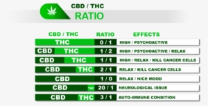 'i Know All About Cbd, I Smoke It Everyday ' Wrong - Cbd Thc Ratio #4225302