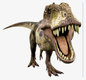 Dinosaur Transparent - Tin Set Discover Dinosaurs #4225664