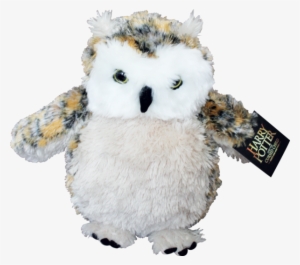 Cursed Child Owl Plush #4226107