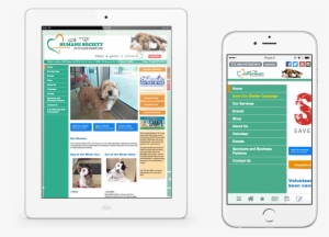 Design - Website And Mobile Integration #4227030