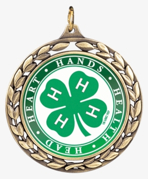 Custom Wreath Medal - National 4-h Magic Of Electricity Grades 4-5 Materials #4227906