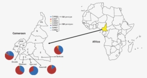 A Map Of Africa Showing The Location Of Cameroon, And - Blank Map Of Africa 1800 #4228061