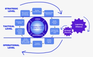 Transition Management Cycle Involves Long-term Planning - Afl Football Field Template #4228739