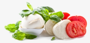 Mozzarella Cheese - Mozzarella Png #4229544