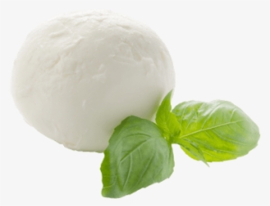 Mozzarella - Mozzarella Png #4229570