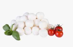 Ripe Organic Mozzarella Cheese - Mozzarella Ciliegine #4229664