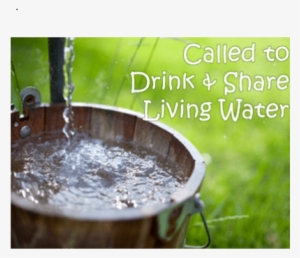 Called To Drink & Share Living Water - Dig The Well Before You Re Thirsty Quote #4230263
