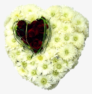 Heart Wreath Funeral Flowers Brisbane - Flower #4231532