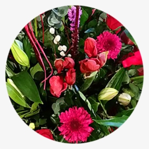 Mallow Flowers And Gifts - Gift #4231852