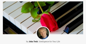 Trends In Funeral Music Selections - John Tesh - Grand Piano Christmas #4232234