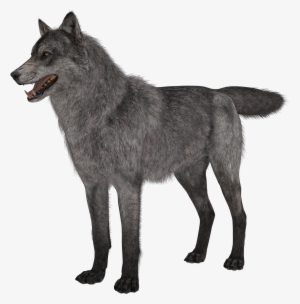 Free Call Of Duty Ghosts Riley Png - Call Of Duty Ghosts Wolves #4232263