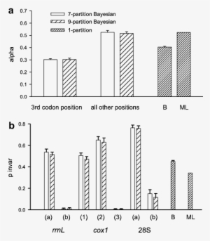 Gamma Shape Distribution And Proportion Of Invariable - Diagram #4233269