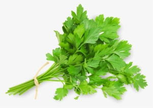 Perejil - Cont Parsley #4235541