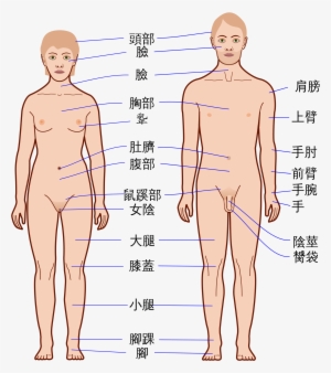 Open - Body Ka #4235564