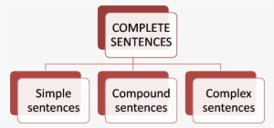 Parentheses In Number Sentences - Dibujos De Los 5 Sentidos #4235636