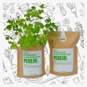 Kit De Cultivo De Huerto Urbano De Flores Aromáticas - Kit Huerto Perejil Garden Pocket #4236015