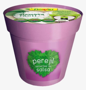 Siembra F Cil Maceta Perejil Flower Epoca Siembra Perejil #4236643