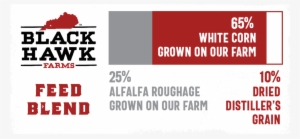 Black Hawk Differences-05 - Love Black Boys #4237152