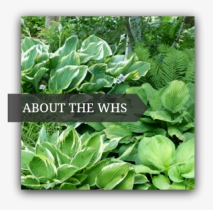 About Us - Wisconsin #4237522