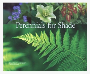 Silence Ça Pousse! - L'hiver Au Jardin (3 Dvd) #4237876