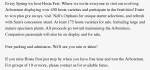 Festival #4238255