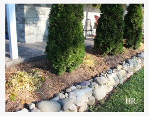 How To Prepare Hostas For Winter - Winter #4238323