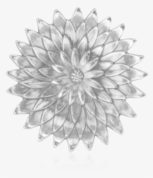 Buccellati - Ciotole - Anemone - Argento - Overpopulation And It Health Effects #4238588