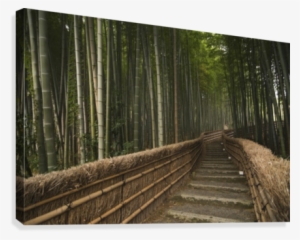 Stone Pathway In Bamboo Forest #4238674