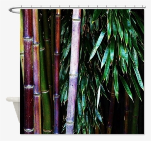 Asian Tropical Bathroom Home Decor Bamboo Forest Nature - Bamboo #4238764