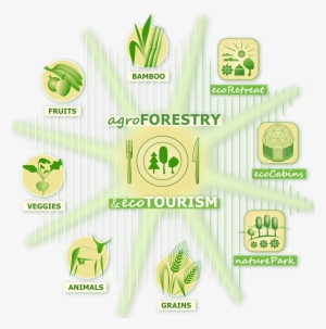 Regenerative Agriculture, Agroecology And Agroforestry - Bamboo Forest Ecosystem Logo #4238942