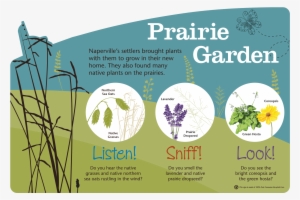 Naper Settlement Playscape Signage - Breathe Easy - 100% Pure Essential Oil Therapeutic #4239145
