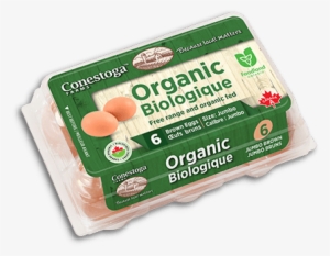 Organic Eggs - Toronto Organic Eggs #4239839