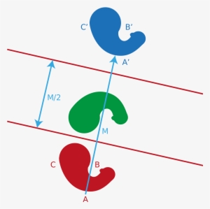 Topological Transformation Math #4240009