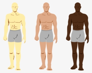 Big Image - Mens Body Clip Art #4240391