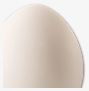Egg Picture - Centrum Valley Farms, Llp #4240505