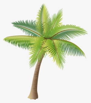 Coconut Tree Transparent Images - Coconut Tree Vector Png #4241074