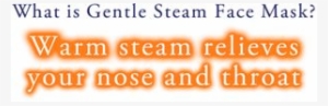 What Is Gentle Steam Face Mask Warm Steam Relieves - Mask #4241355