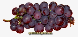 Racimo De Uvas - Seedless Fruit #4241432
