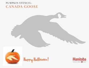 Canadian Goose Pumpkin Carving Stencil - Polar Bear Pumpkin Carving #4241548