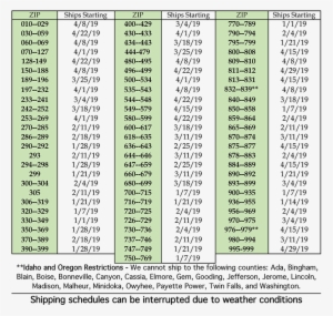 Shop For Onion Plants - Number #4241718