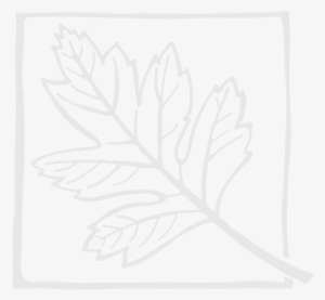 1mm Mild Steel Plate - Printmaking #4241810