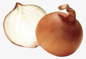 Onion Clipart #4241995