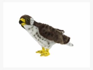 Falcon Soft Plush Toy Bird - Living Nature Teddy Prey #4242098