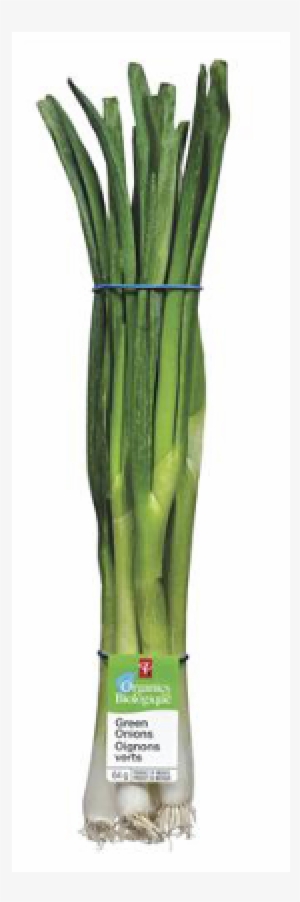 ﻿pc Organics Green Onions - Vase #4242099